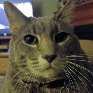 Meet your Posher, Sean